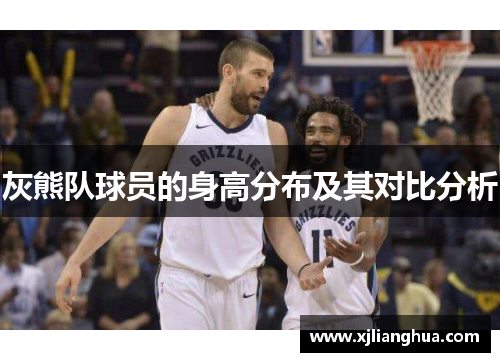 灰熊队球员的身高分布及其对比分析